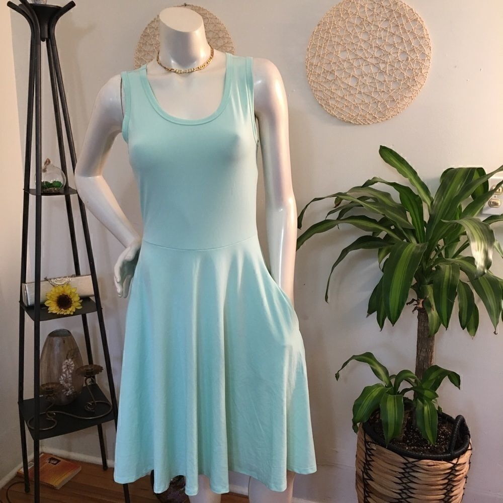 New! Lularoe Mint pocket flare dress